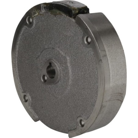 Flywheel complete - 2700200970001