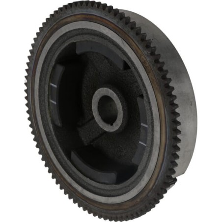 Flywheel complete - 2700202290001
