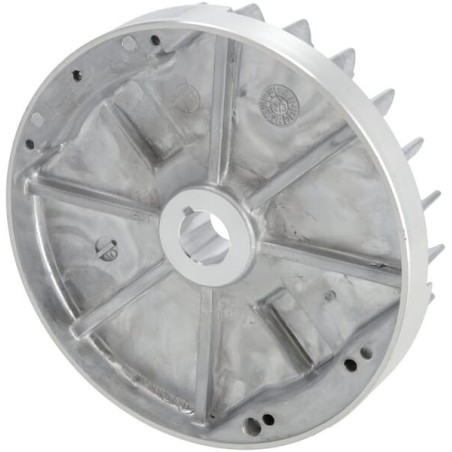 Flywheel complete - 2700206040001