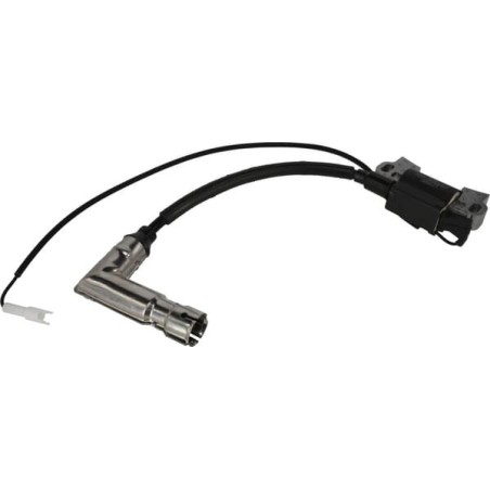 Ignition system parts – produkty dostępne w rolniczeczesci.pl