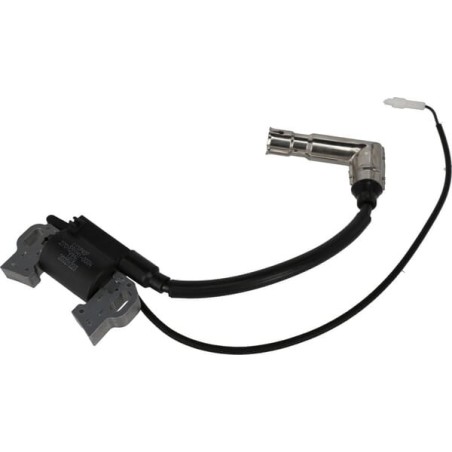 Ignition coil assembly - 2709202510004