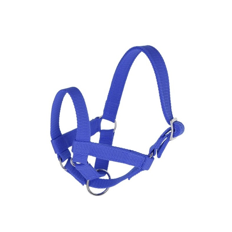 Lama Halfter Größe 60 blau - 27199 Lama Halfter Größe 60 blau - 27199