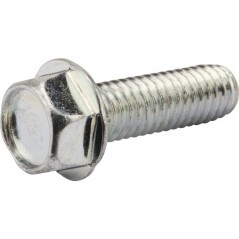 2828635SM Murray, Screws and nuts 