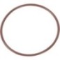 Ring - 292419A1 Ring - 292419A1