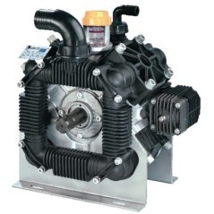 Pompa Poly 2180-VD Bertolini - 289220973VD