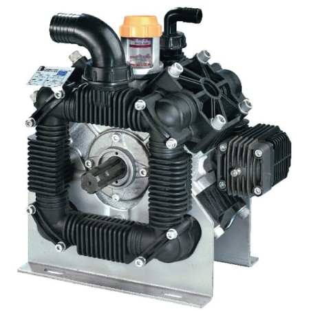 Pumpe Poly 2180-VD Bertolini - 289220973VD