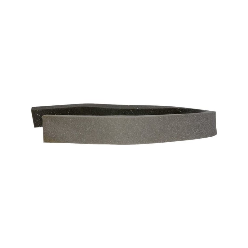 Pianka Aspi Bs - 28637OW Pianka Aspi Bs - 28637OW