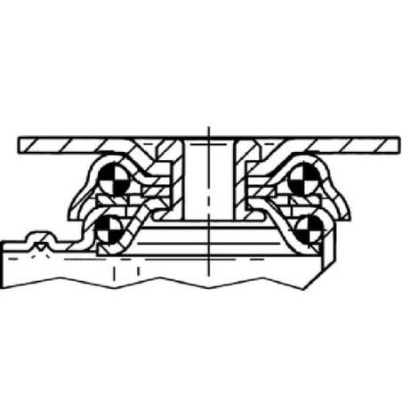 Doppelte Schwenkrollen - 2970PJP075P50