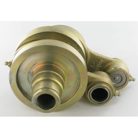Excentre complete Busatis - 2860230