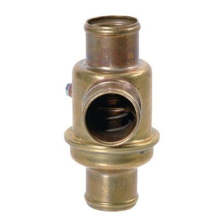 Termostat, CNH - 299992A1