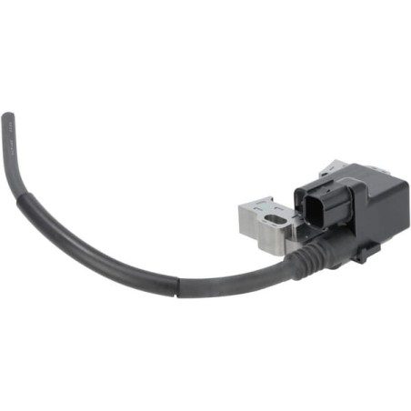 Ignition coil assembly - 30500Z5T004