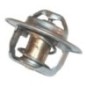 Termostat - 3059676R91N Termostat - 3059676R91N