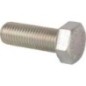 Screw - 3010611X1