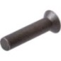 Rivet - 300334028