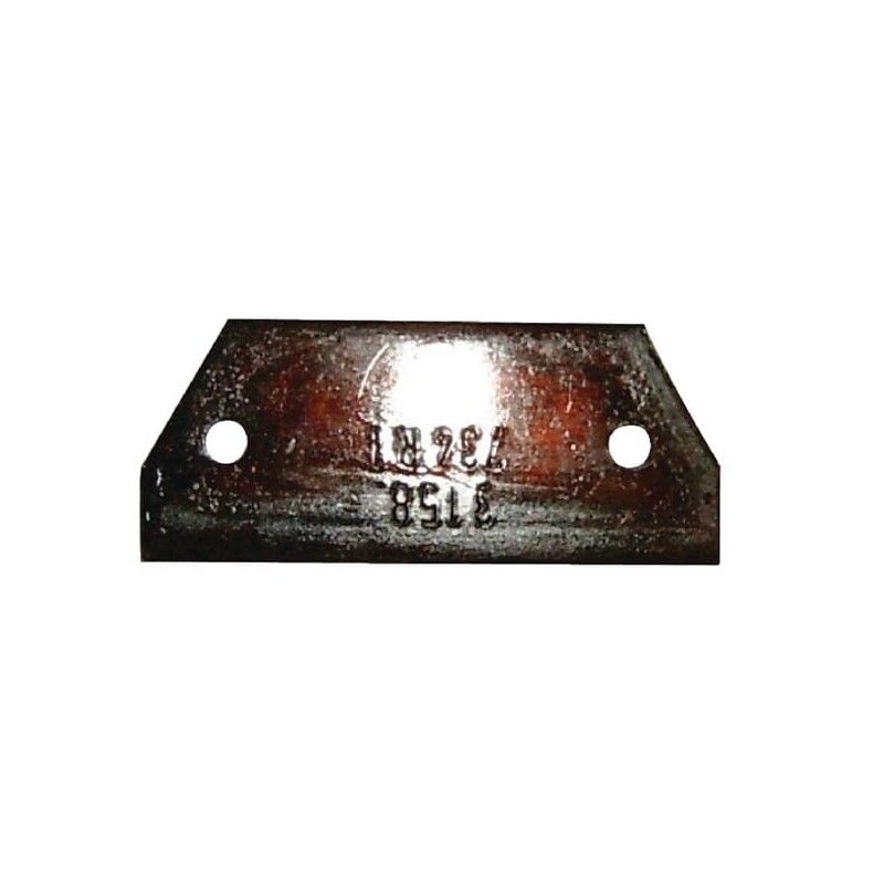 Cleaning plate - 3158734R1