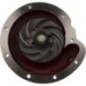 Water pump - 3132739R94OMP