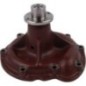 Water pump - 3132739R94OMP