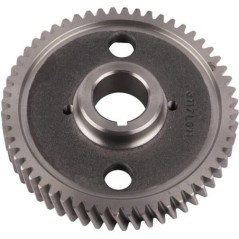 Shaft gear - 3117L012