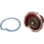 Water pump - 3132741R94OMP