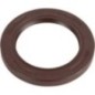 Ring - 3308686M1 Ring - 3308686M1