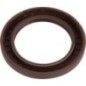 Ring - 3308686M1 Ring - 3308686M1