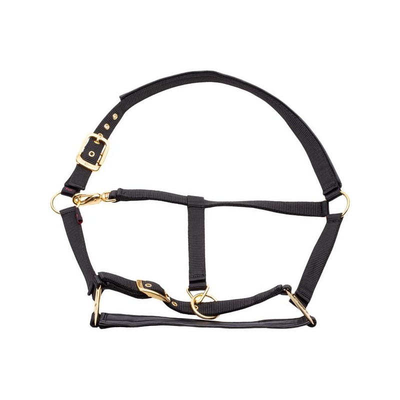 Halter Topline black Full - 3224617 Halter Topline black Full - 3224617