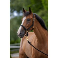 3224617 KERBL, Bridles 