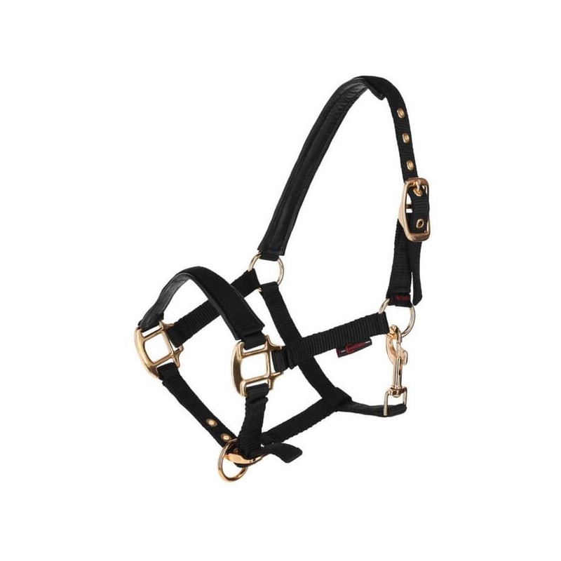 Foal Head Collar TopLine black - 3224748 Foal Head Collar TopLine black - 3224748