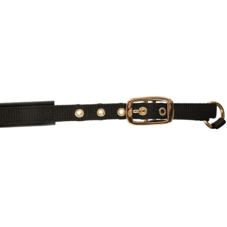 Foal Head Collar TopLine black - 3224748
