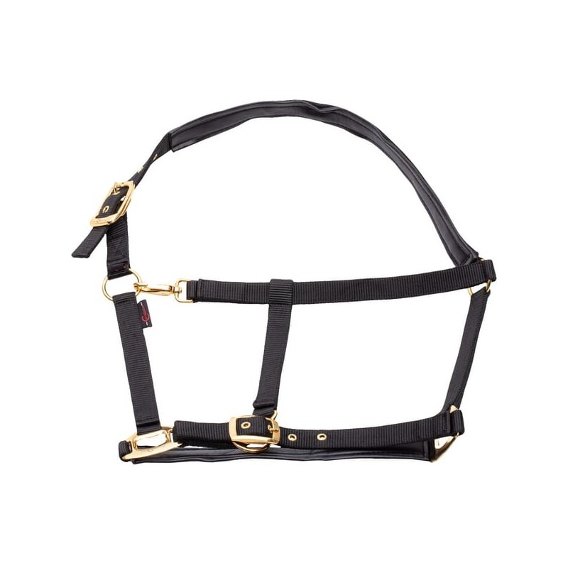 Halter Topline schwarz XFull - 3224618 Halter Topline schwarz XFull - 3224618