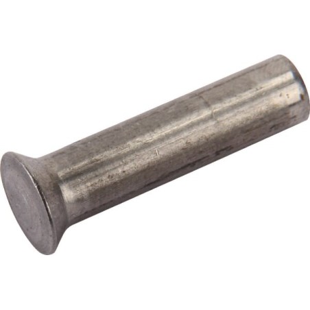 Rivets 0.5 kg pack 6x25 ESM - 3231901