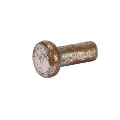 Rivets and screws – produkty dostępne w rolniczeczesci.pl