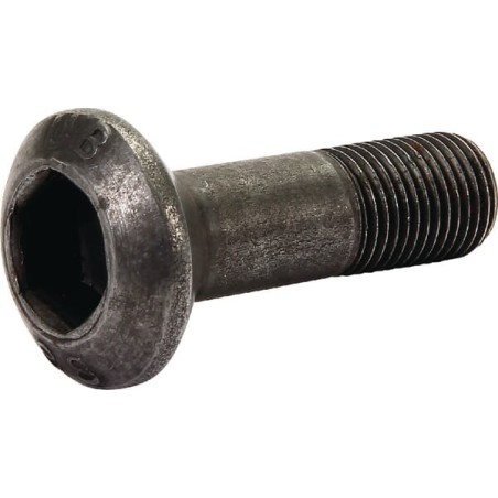Rivets and screws – produkty dostępne w rolniczeczesci.pl