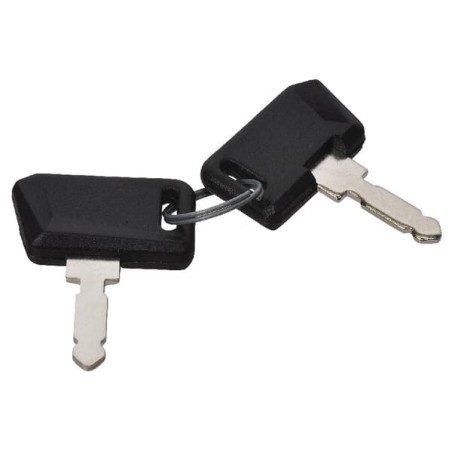 Zündschlüssel – produkty dostępne w rolniczeczesci.pl