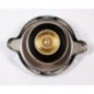 Radiator cap - 3475308M1N