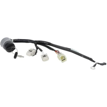 Switch assembly combination - 35100Z3SV01