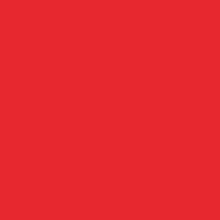M.F. 50 rot 2009 1L - 365008KR