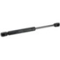 Cylinder - 3660101M91 Cylinder - 3660101M91