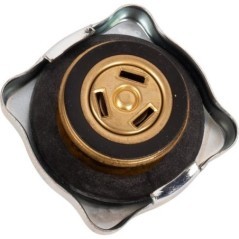 Kühlerdeckel - 3679341M1