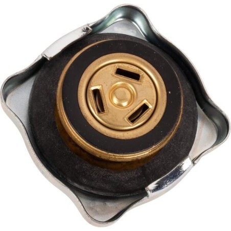Radiator cap - 3679341M1