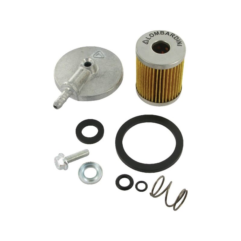 Kraftstofffilter Lombardini - 3730028