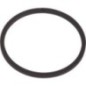 Segment - 3815124M2N Segment - 3815124M2N