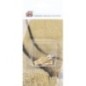 2x valve inst set TR218A Indra - 4002012 2x valve inst set TR218A Indra - 4002012