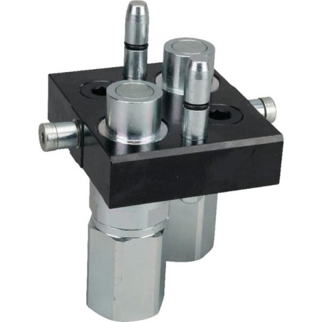 Multifaster DN20-2 x 3/4 inch BSPP movable section plug - 3P510234GMC