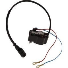 Ignition parts – produkty dostępne w rolniczeczesci.pl