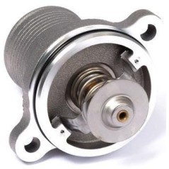 4133L507 Perkins, Thermostats 
