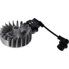 412516 AL-KO, Ignition parts 