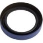 Seal - 403041A1