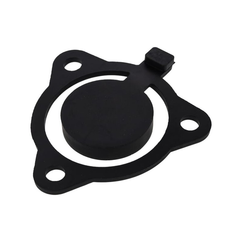 Gasket - 414805