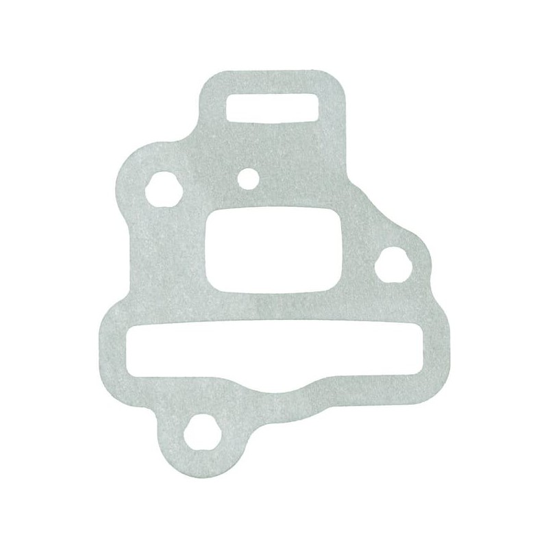 Gasket - 41481290900